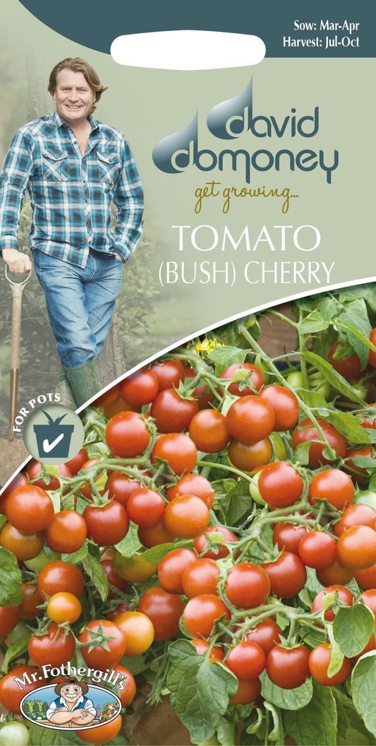 Mr Fothergills David Domoney Tomato Tumbling Cherry Falls 20 Seeds