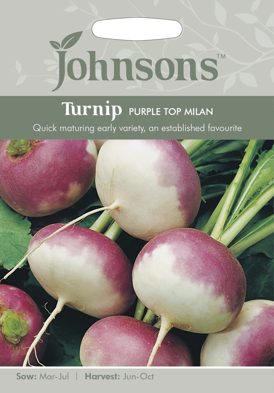 Johnsons Turnip Purple Top Milan 1750 Seeds