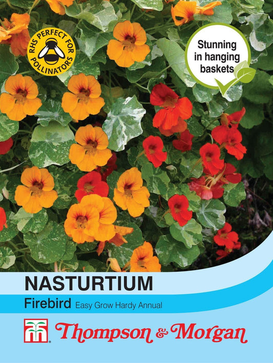 Thompson & Morgan Nasturtium Firebird 30 Seed