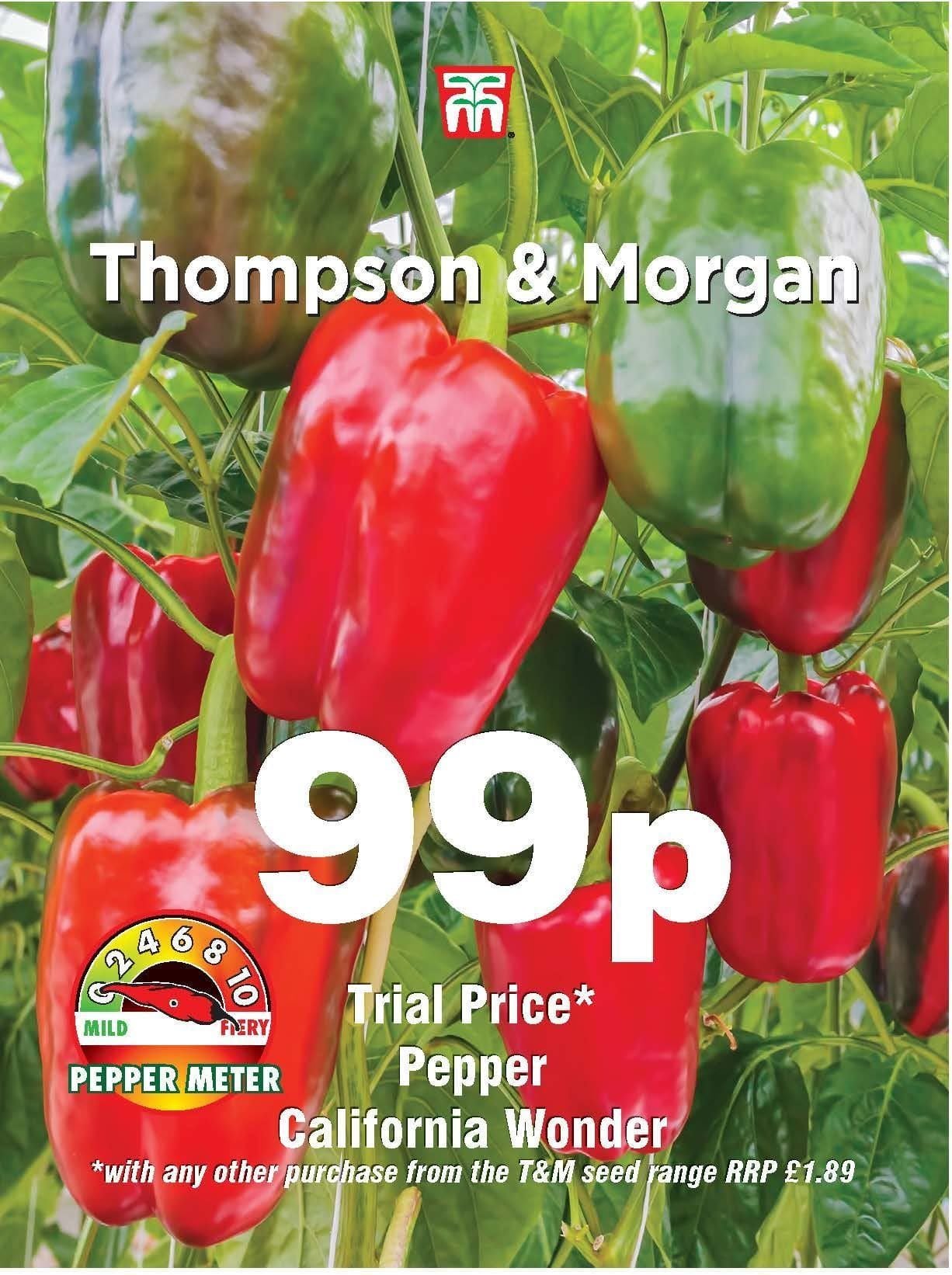 Thompson & Morgan Pepper California Wonder 40 Seed Only 99p