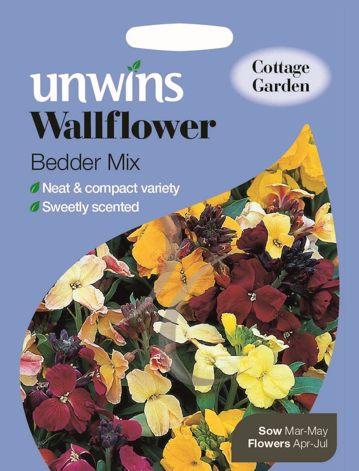 Unwins Wallflower Bedder Mix 600 Seeds
