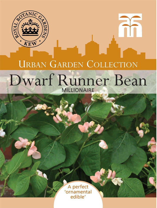 Thompson & Morgan - Kew - Urban Vegetable - Bean Runner - Dwarf Millionaire - 20 Seeds