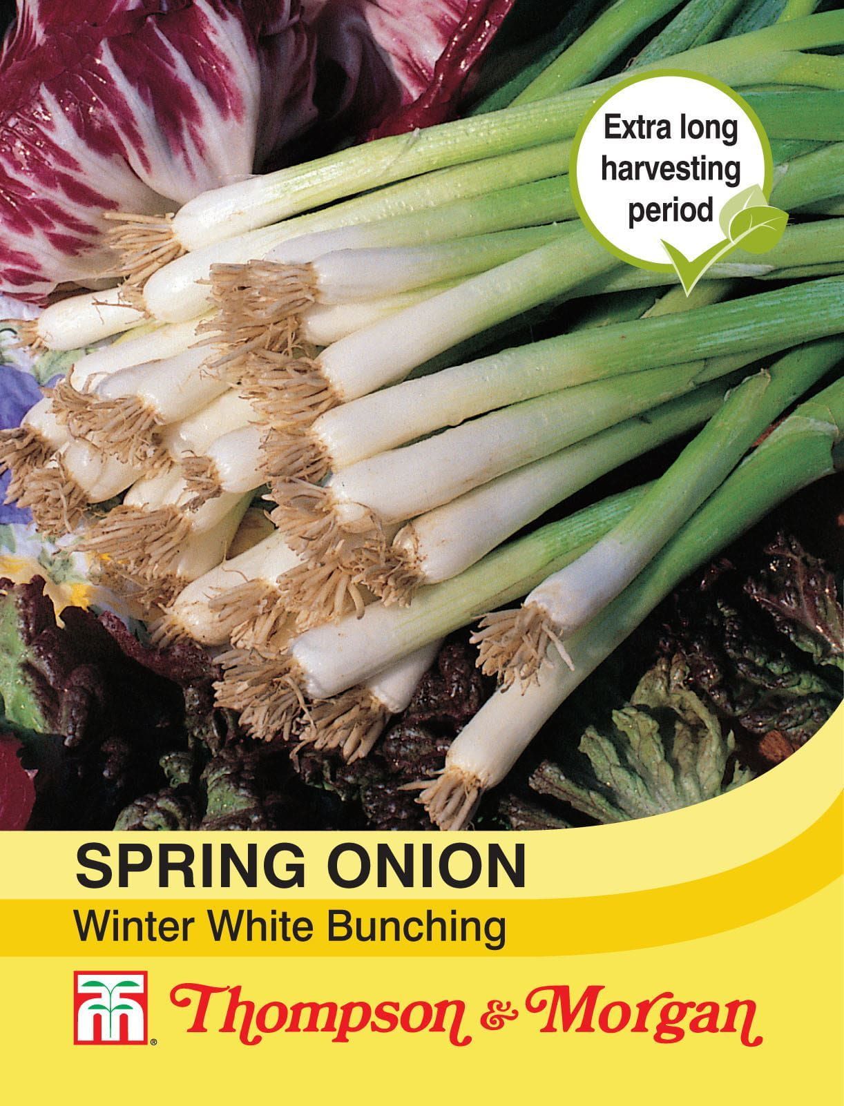 Thompson & Morgan Spring Onion Winter White Bunching 500 Seed