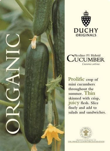 Thompson & Morgan Duchy Original Organic Vegetable Cucumber Picolino 4 Seed