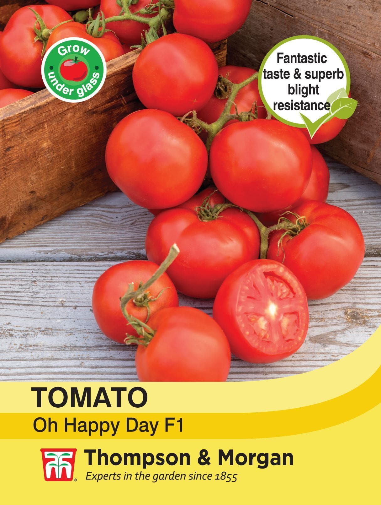 Thompson & Morgan - Vegetable - Tomato - Oh Happy Day - 8 Seeds