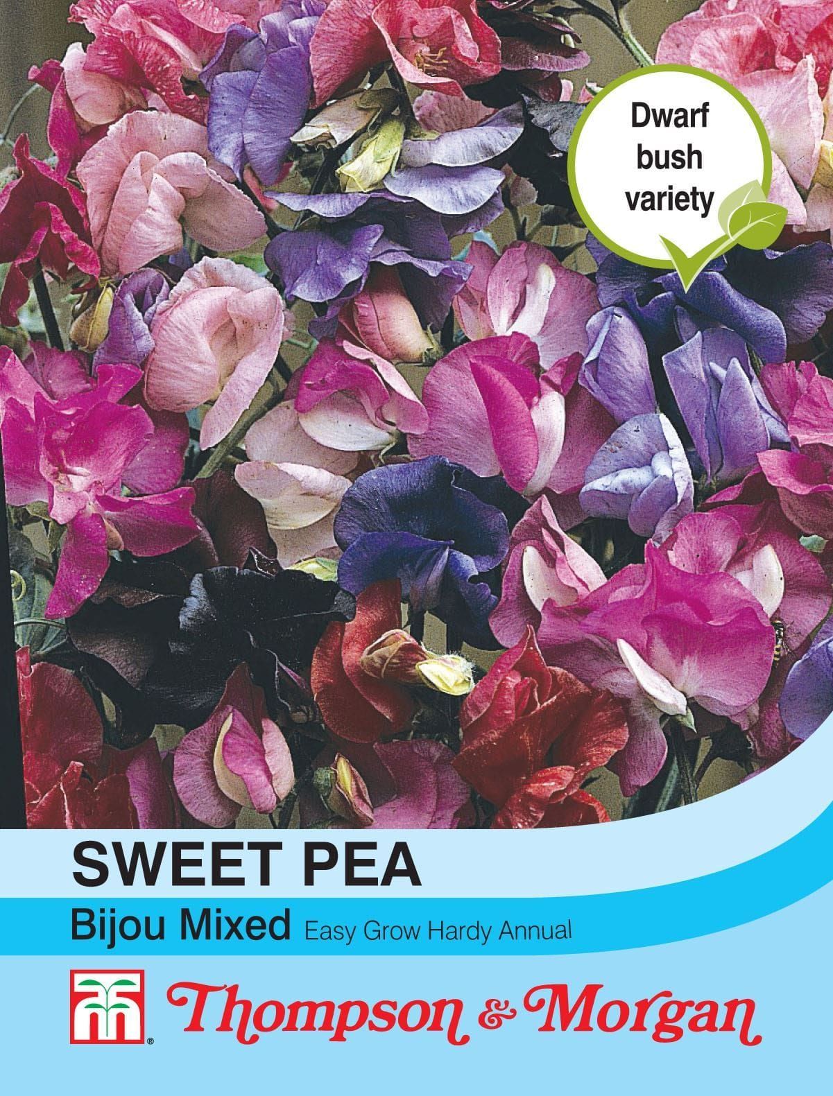 Thompson & Morgan Sweet Pea Bijou Mixed 20 Seed