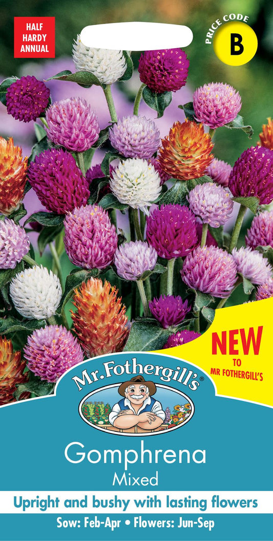 Mr Fothergills - Flower - Gomphrena - Mixed - 50 Seeds