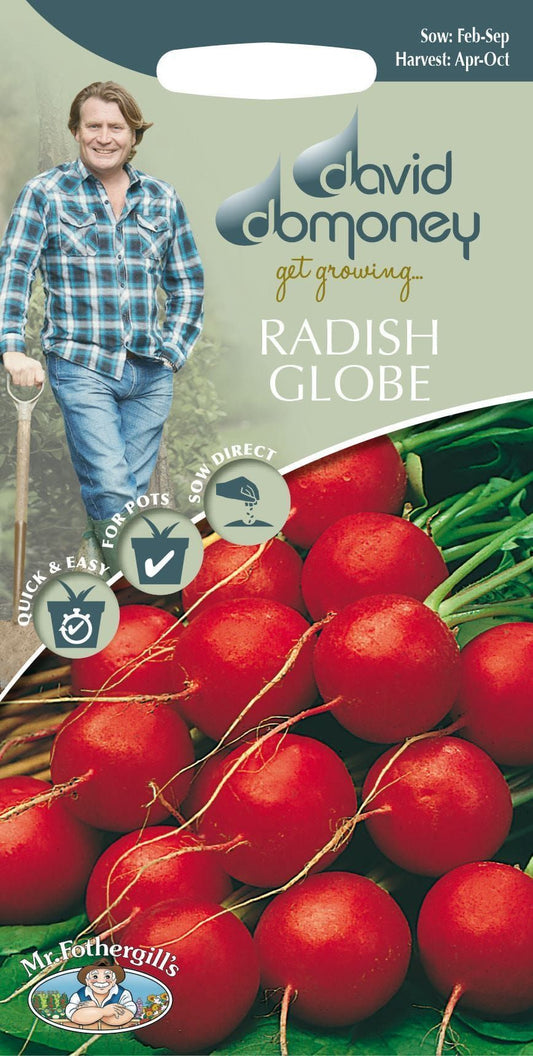 Mr Fothergills - David Domoney - Vegetable - Radish - Globe Lucia F1 - 500 Seeds