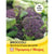 Thompson & Morgan Broccoli Sprouting Early Purple Red Arrow 100 Seed