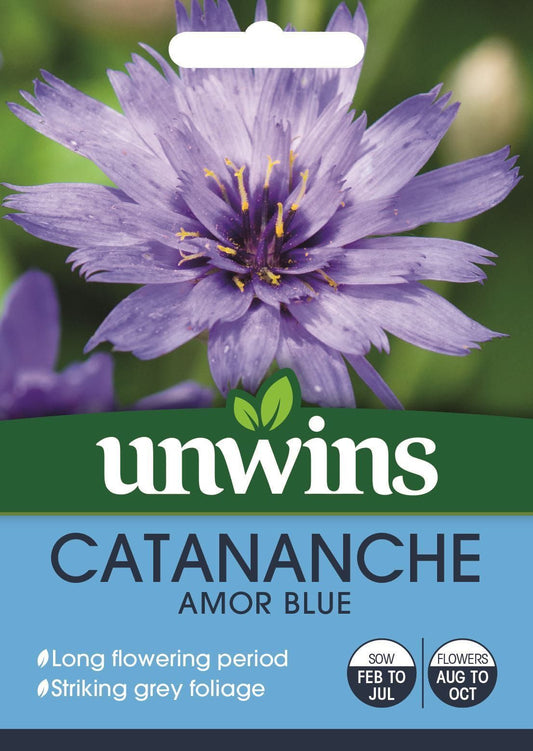 Unwins Catananche Amor Blue 30 Seeds