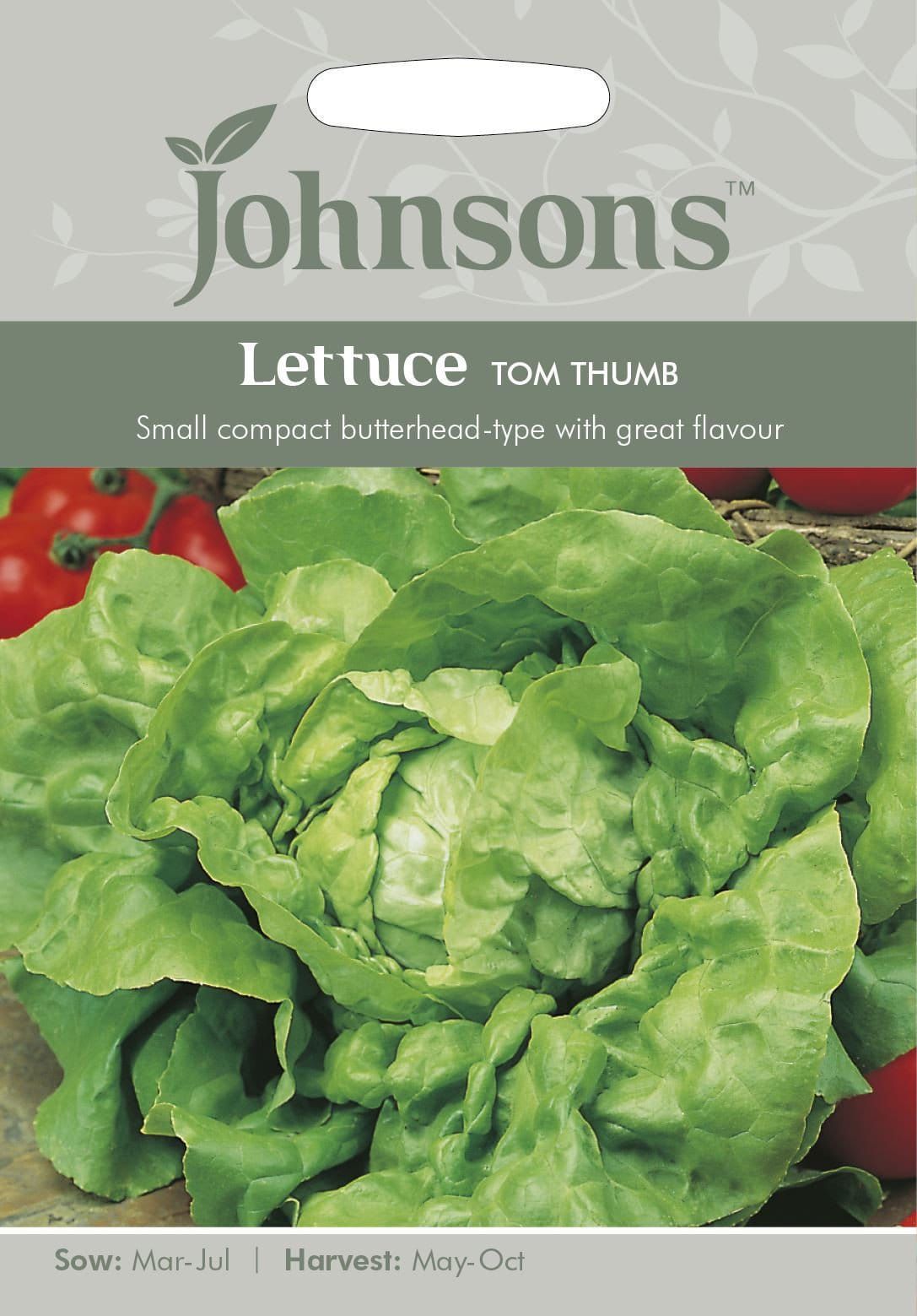 Johnsons Lettuce Tom Thumb 1500 Seeds