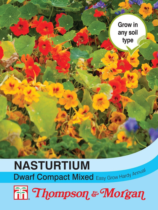 Thompson & Morgan Nasturtium Dwarf Compact Mixed 50 Seed