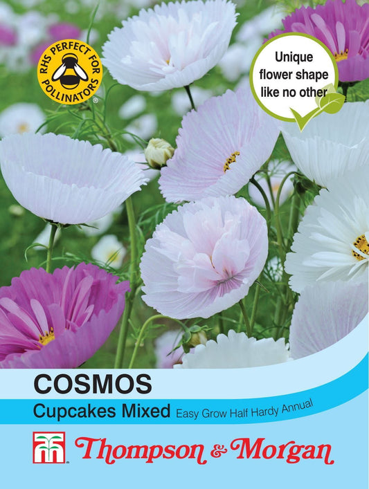 Thompson & Morgan - Cosmos Cupcakes - Mixed - 100 Seeds