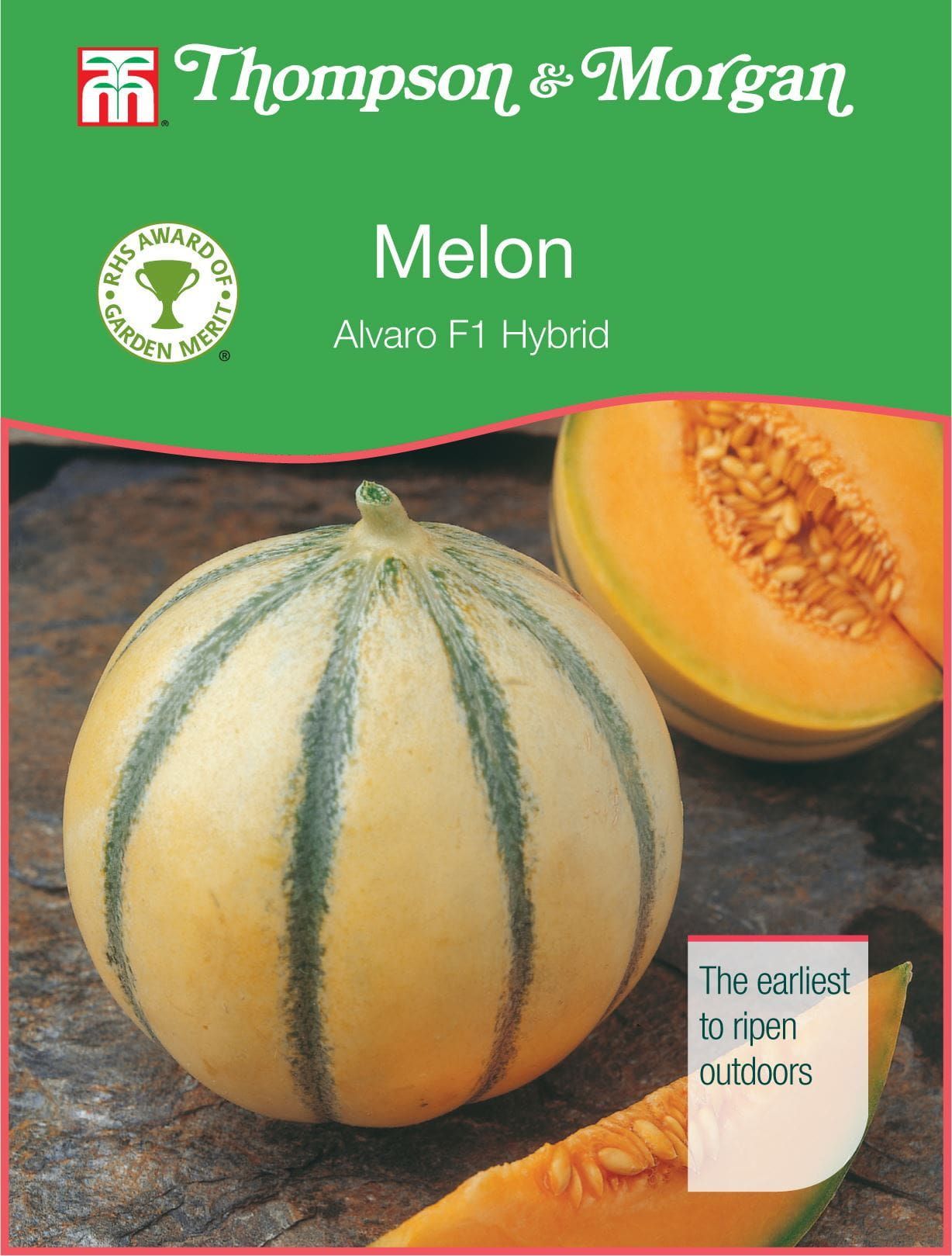 Thompson & Morgan - RHS Vegetable - Melon - Alvaro F1 Hybrid - 4 Seeds