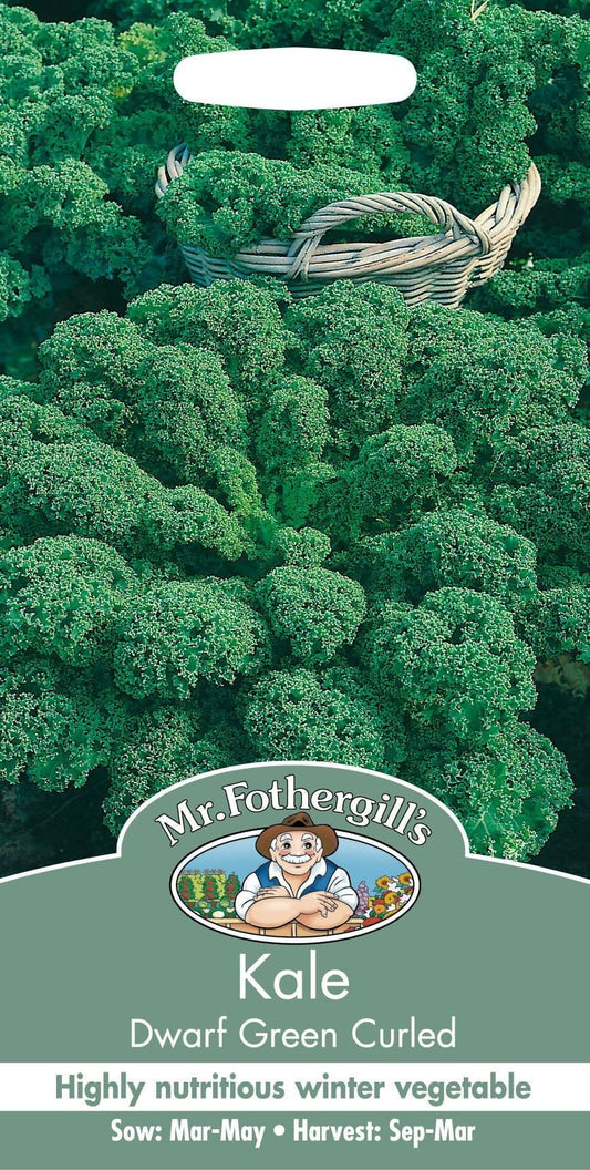 Mr Fothergills Kale Dwarf Green Curled 400 Seeds