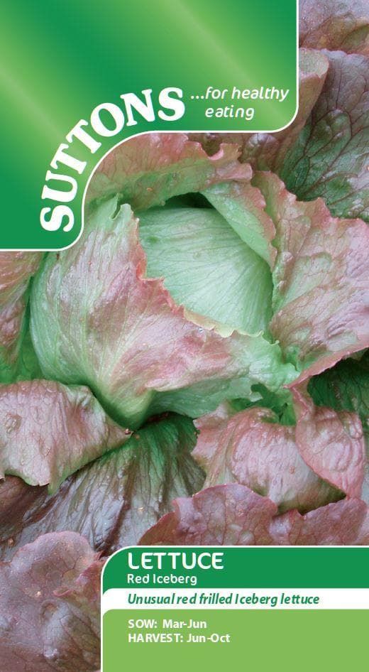 Sutton Seeds - Lettuce Seeds - Red Iceberg