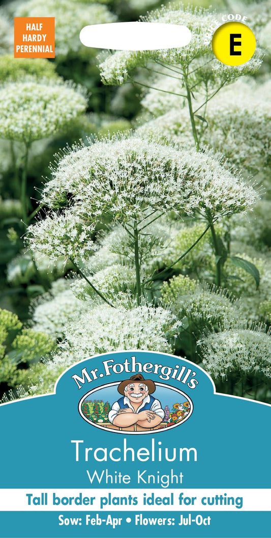 Mr Fothergills - Flower - Trachelium - White Knight - 15 Seeds