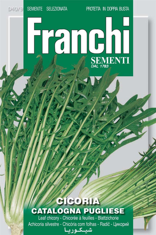 Franchi Seeds of Italy Chicory Catalogna Pugliese Seeds