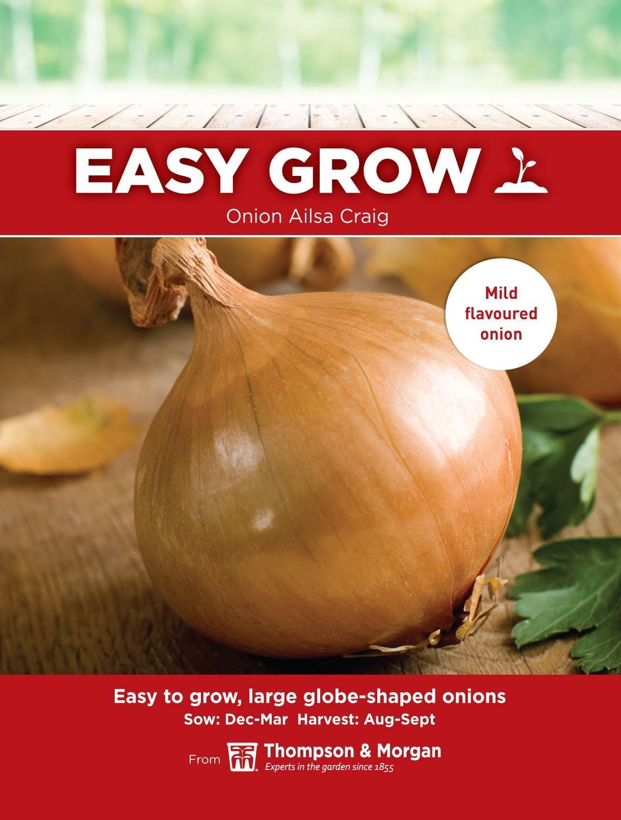 Thompson & Morgan - EasyGrow - Vegetable - Onion - Ailsa Craig - 200 Seeds