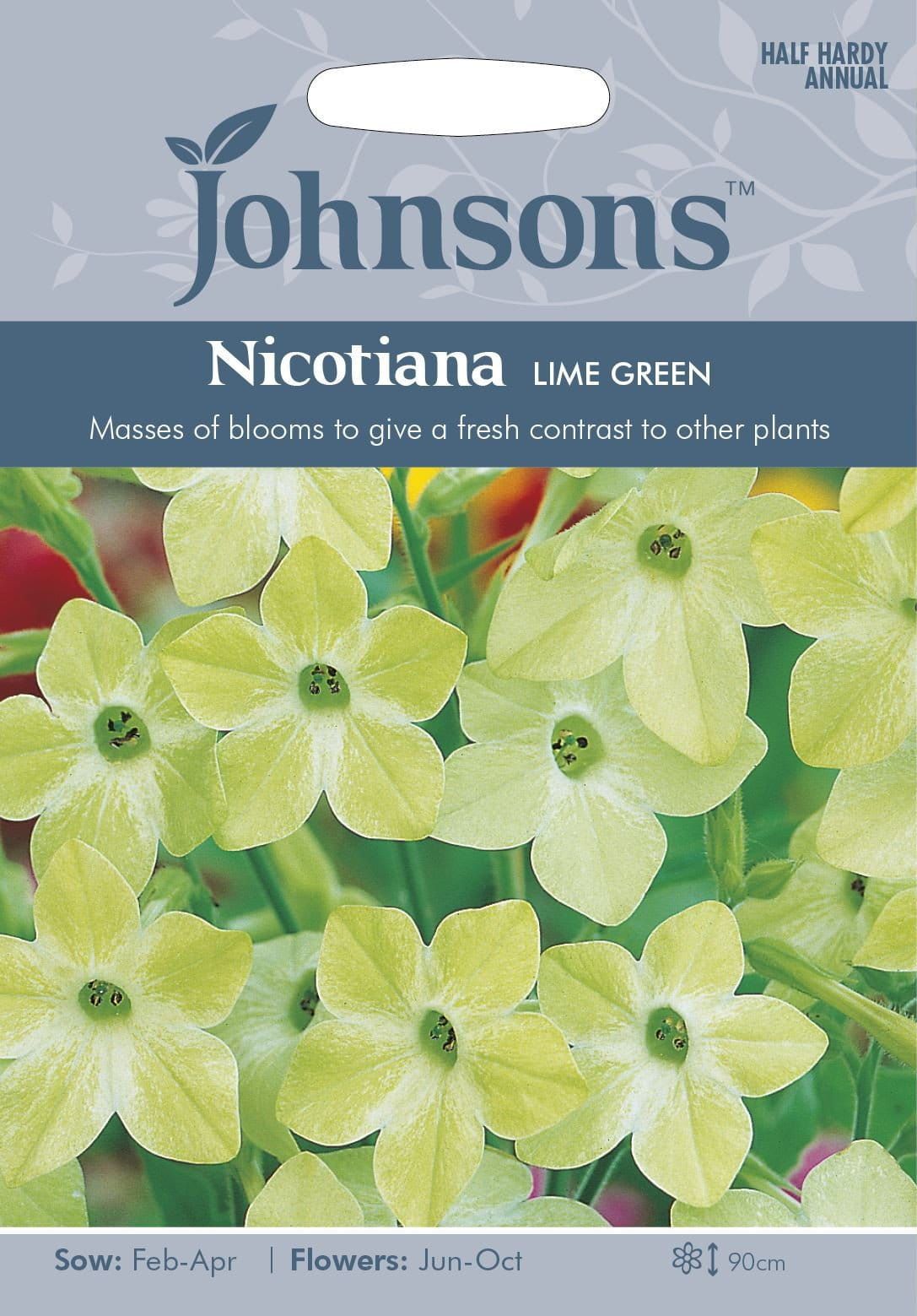 Johnsons Nicotiana Lime Green 1000 Seeds