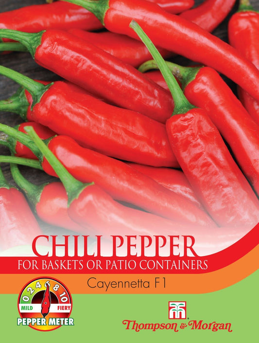 Thompson & Morgan Pepper Cayennetta 6 Seed