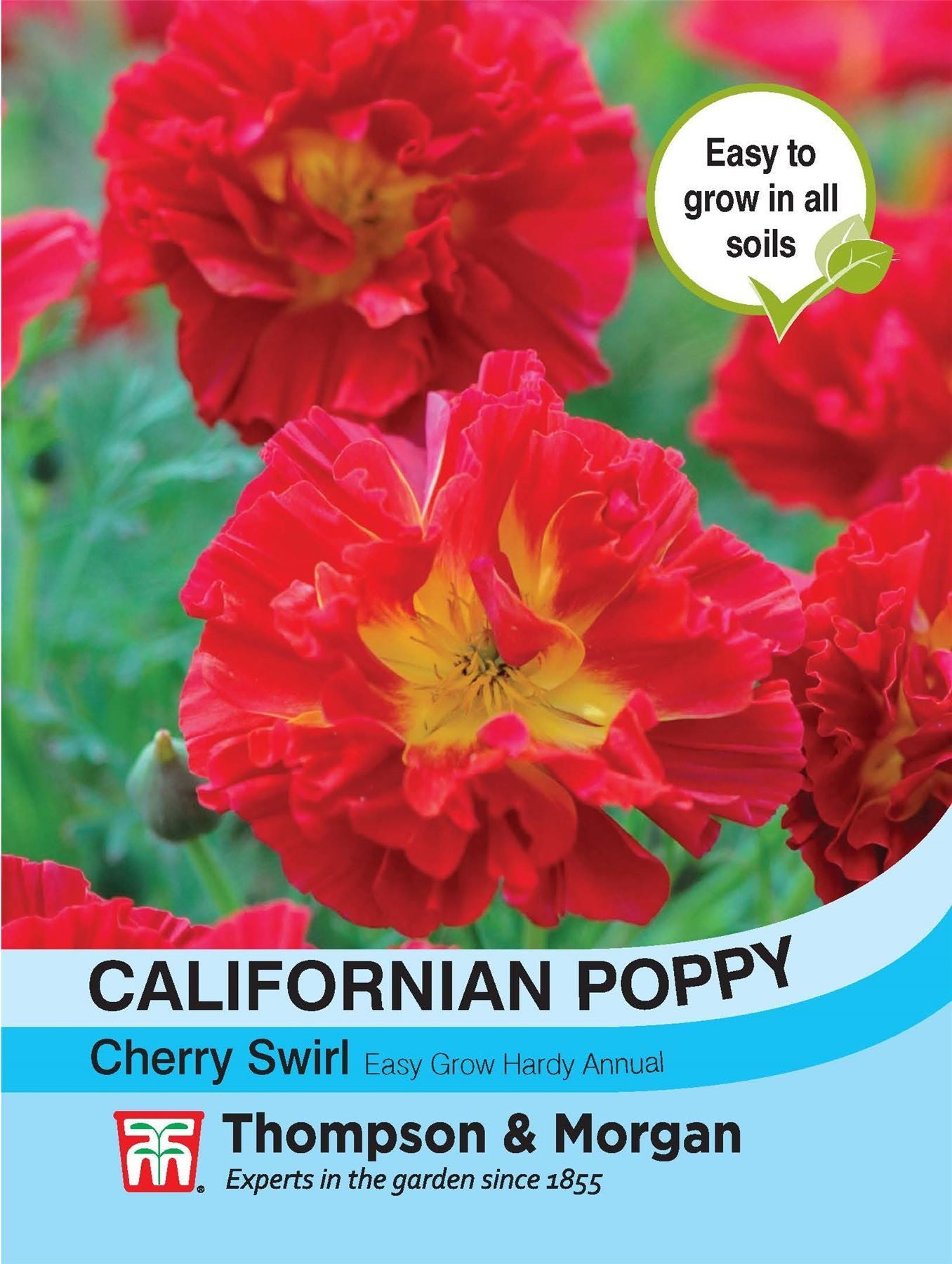 Thompson & Morgan - Flower - Californian Poppy - Cherry Swirl - 125 Seeds