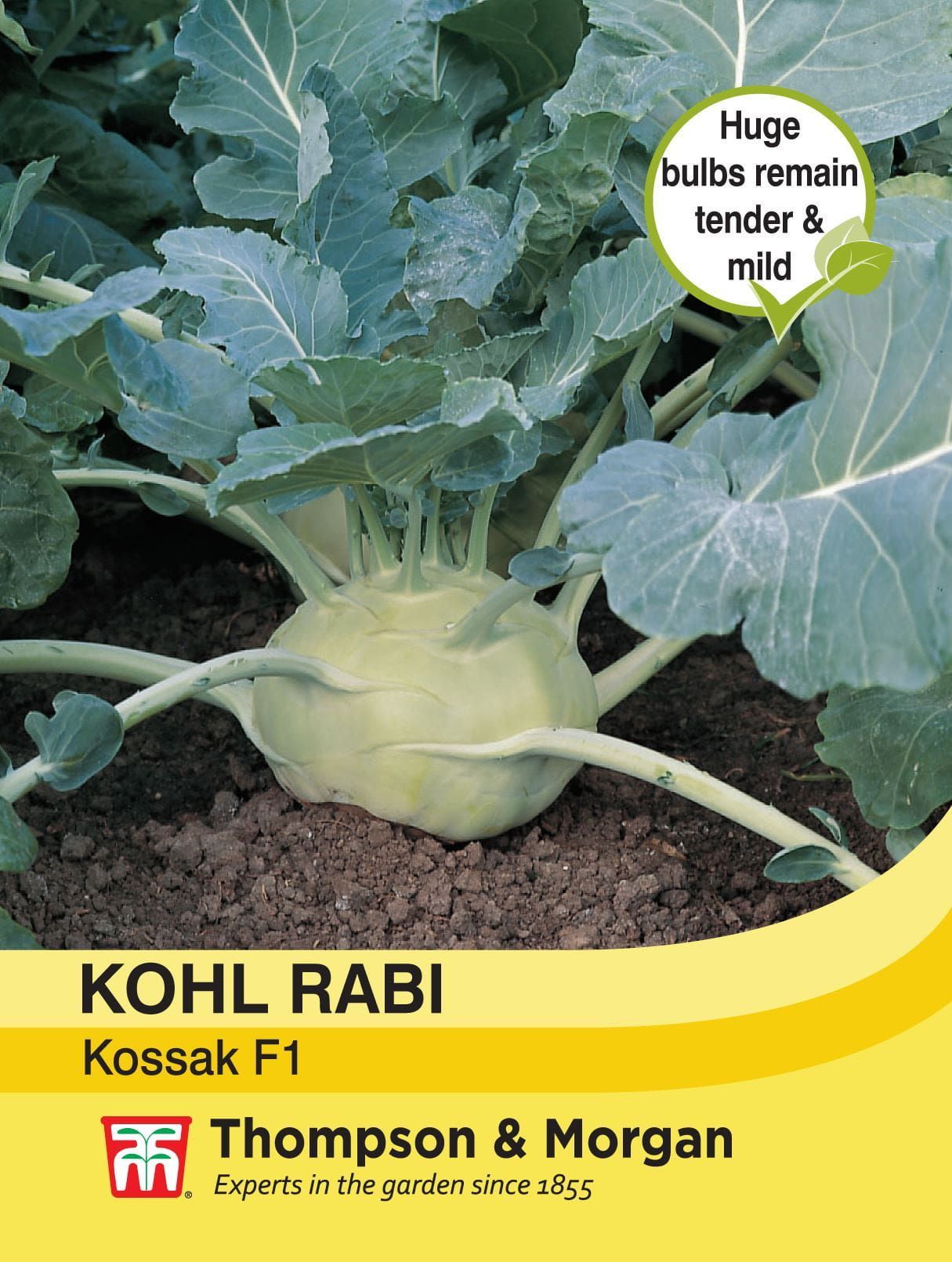 Thompson & Morgan - Vegetable - Kohl Rabi - Kossak - 20 Seeds