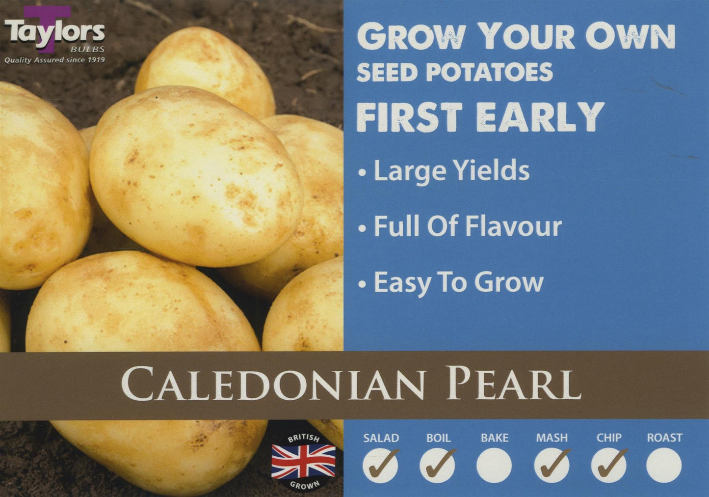 Taylors - Seed Potatoes - Caledonian Pearl - 10 Tubers - First Early