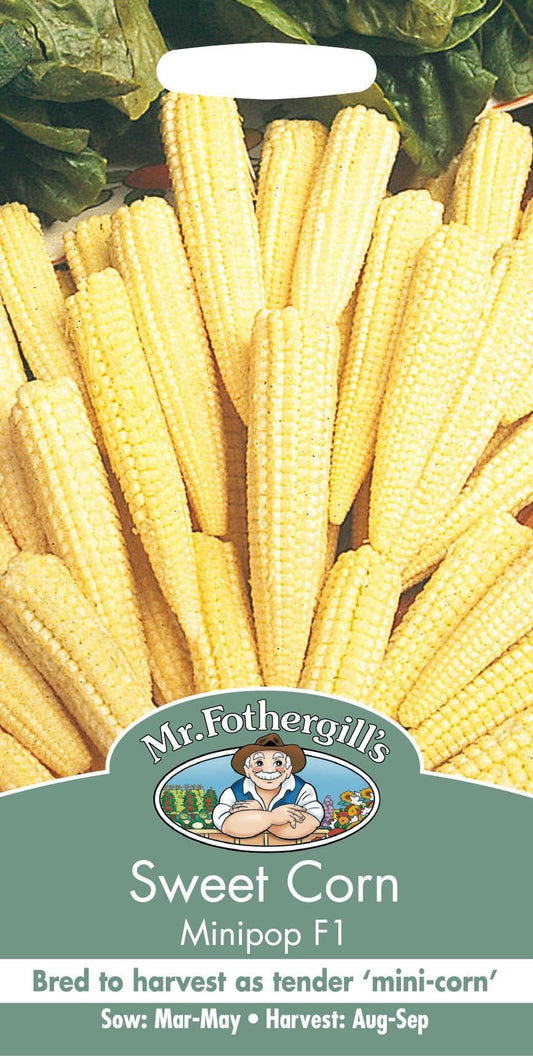 Mr Fothergills Sweet Corn Minipop F1 50 Seeds