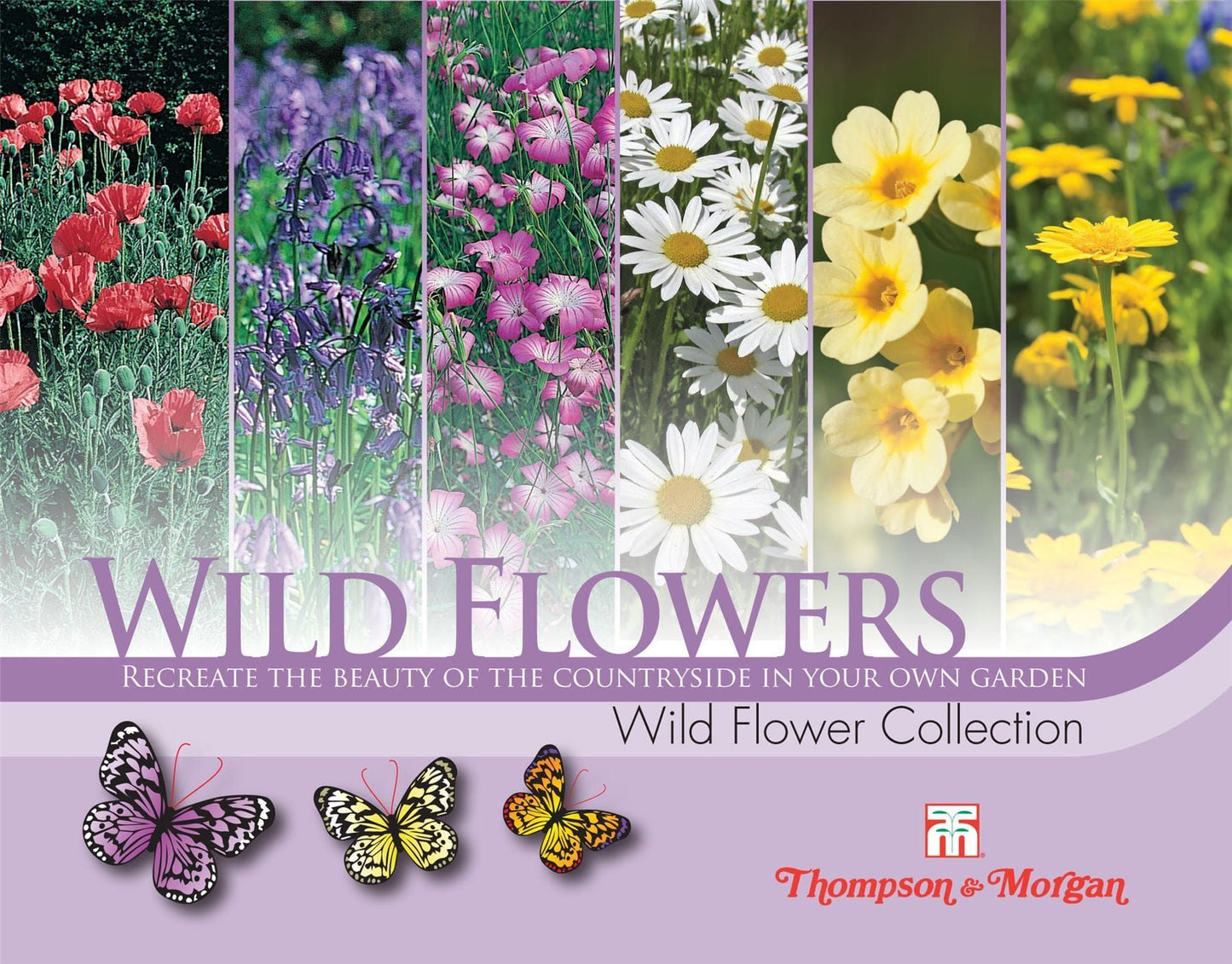 Thompson & Morgan Wild Flower Collection Pack 2500 Seed