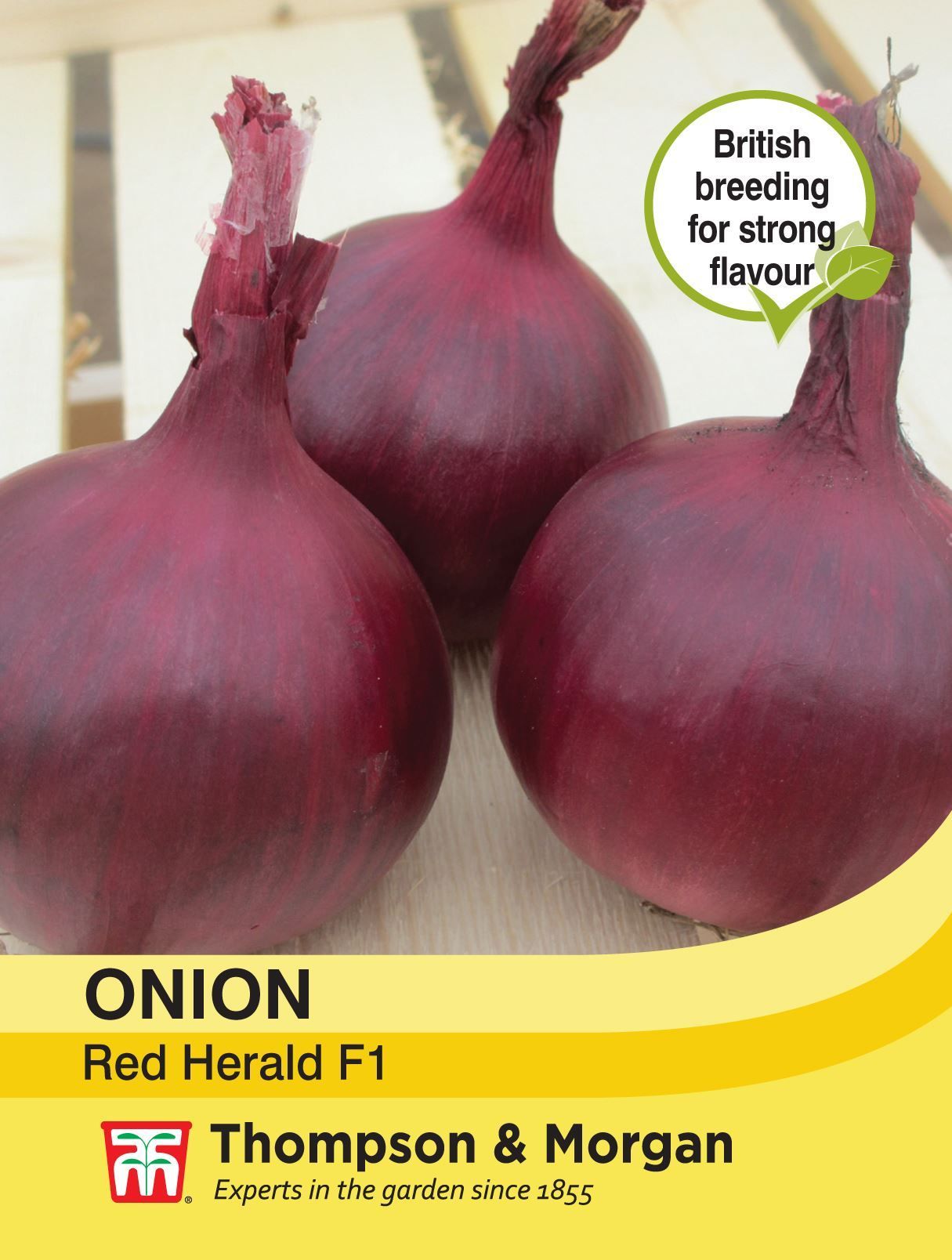 Thompson & Morgan - Vegetable - Onion - Red Herald - 200 Seeds