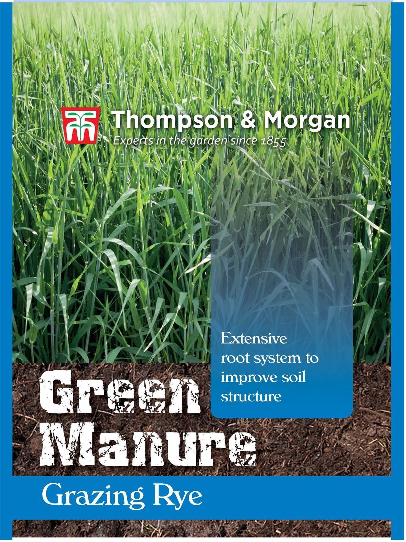 Thompson & Morgan Green Manure Green Manure Grazing Rye 80 Gram