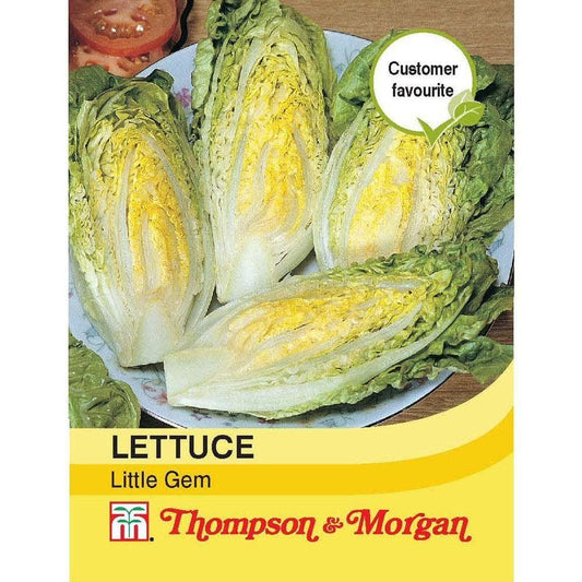 Thompson & Morgan Lettuce Little Gem 1000 Seed