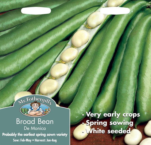 Mr Fothergills Broad Bean Monica 45 Seeds