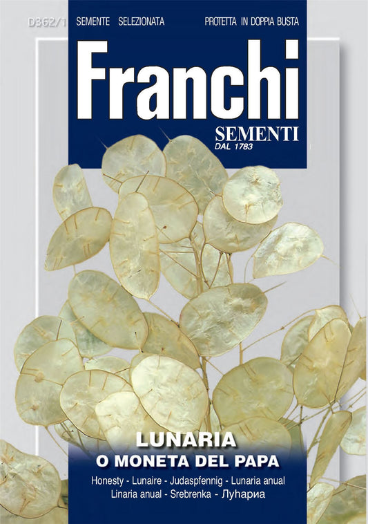 Franchi Seeds of Italy - Flower - FDBF_ 362-1 - Lunaria moneta Del Papa - Seeds