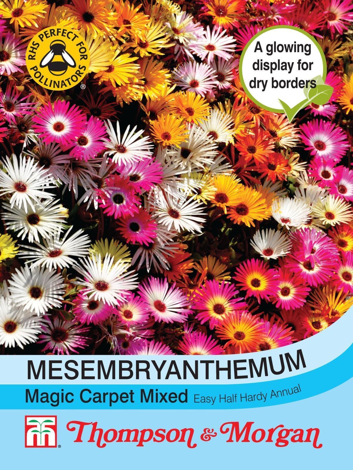 Thompson & Morgan Mesembryanthemum Magic Carpet Mixed 2000 Seed