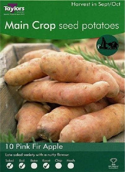 Seed Potatoes Pink Fir Apple 10 Tubers Main Crop