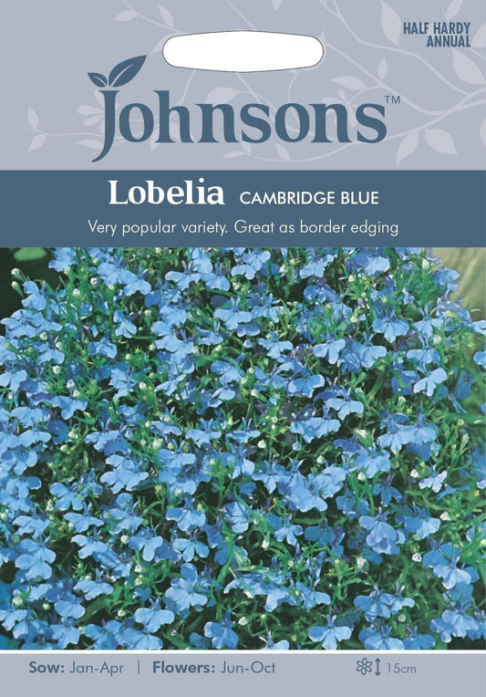 Johnsons Lobelia Cambridge Blue 2500 Seeds