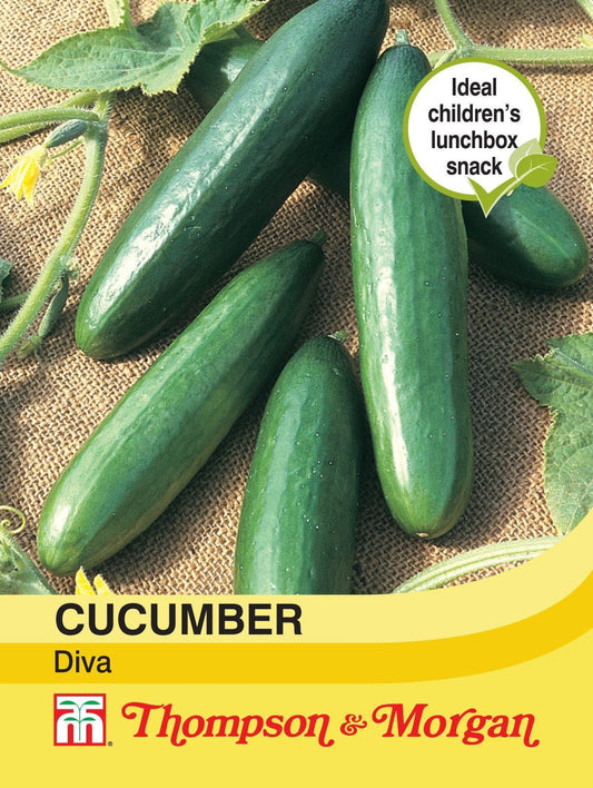 Thompson & Morgan - Little Miss Giggles - Vegetable - Cucumber - Diva - 10 Seeds