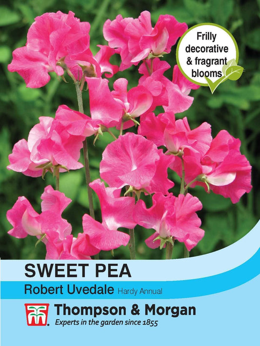 Thompson & Morgan Sweet Pea Robert Uvedale 20 Seed