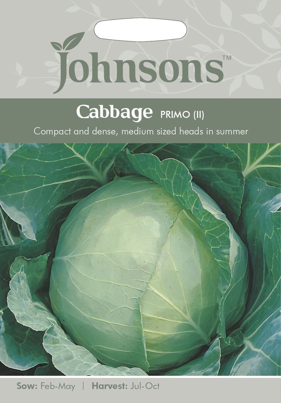 Johnsons Cabbage Golden Acre 500 Seeds