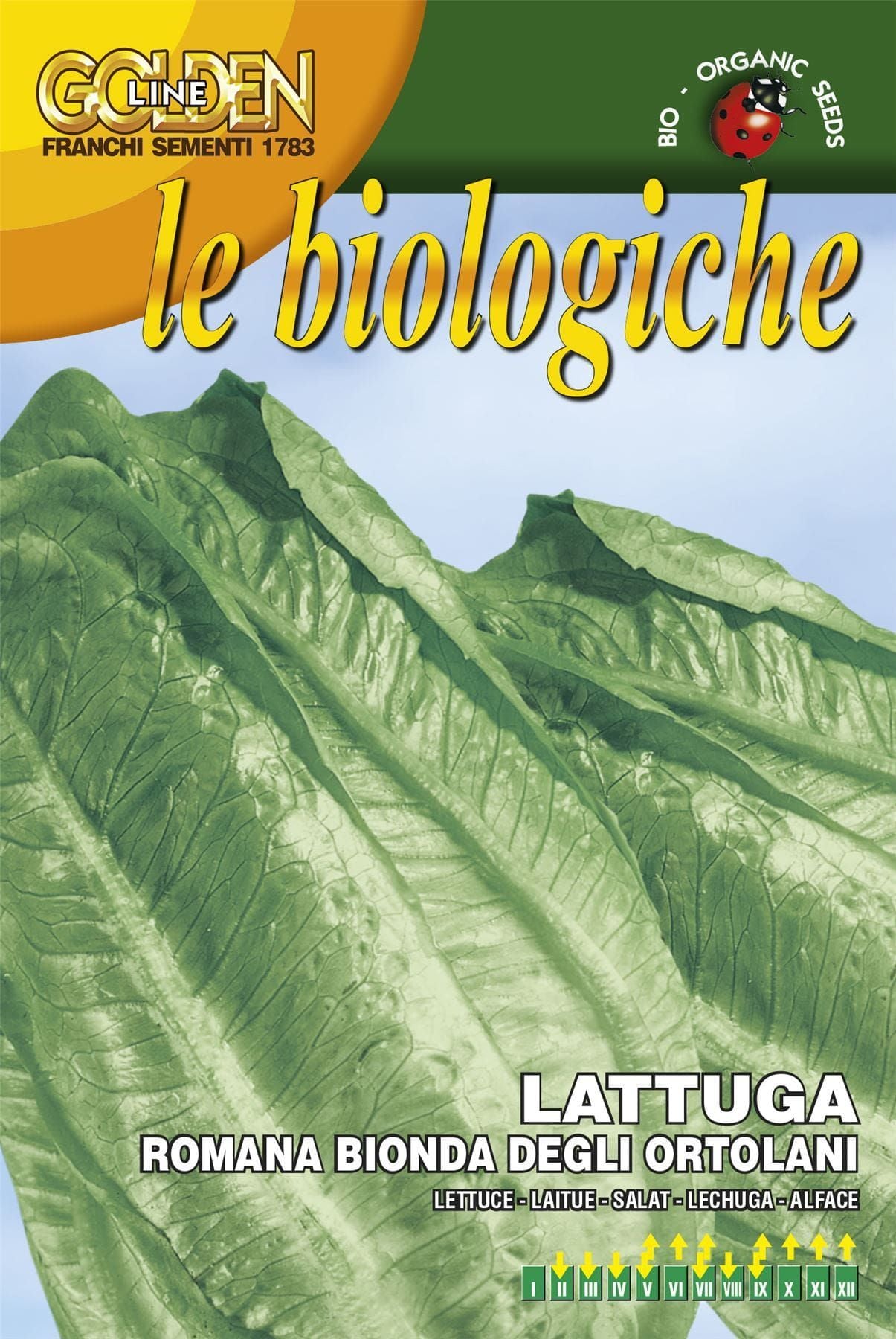 Franchi Organic BIOB84/4 Lettuce Romaine Bionda Seeds