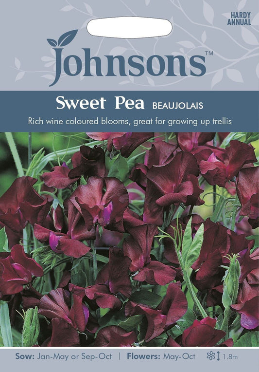 Johnsons Sweet Pea Beaujolais 25 Seeds