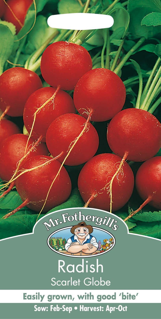 Mr Fothergills Radish Scarlet Globe 1000 Seeds