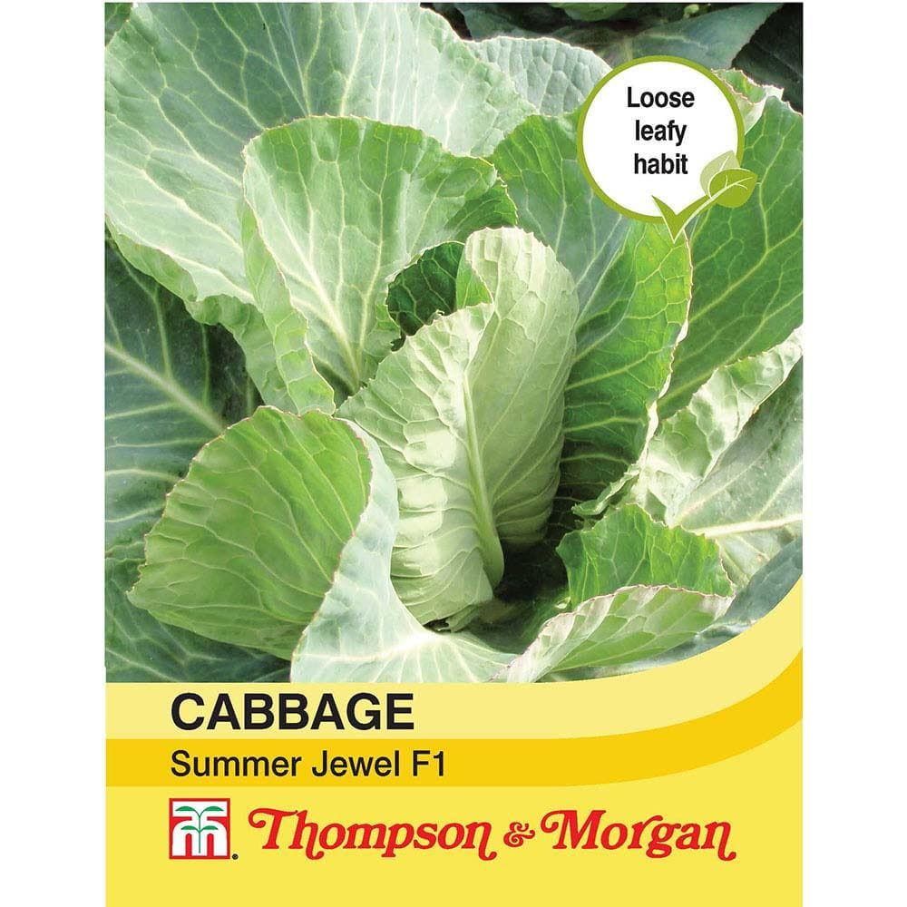Thompson & Morgan Cabbage Summer Jewel F1 Hybrid 30 Seed