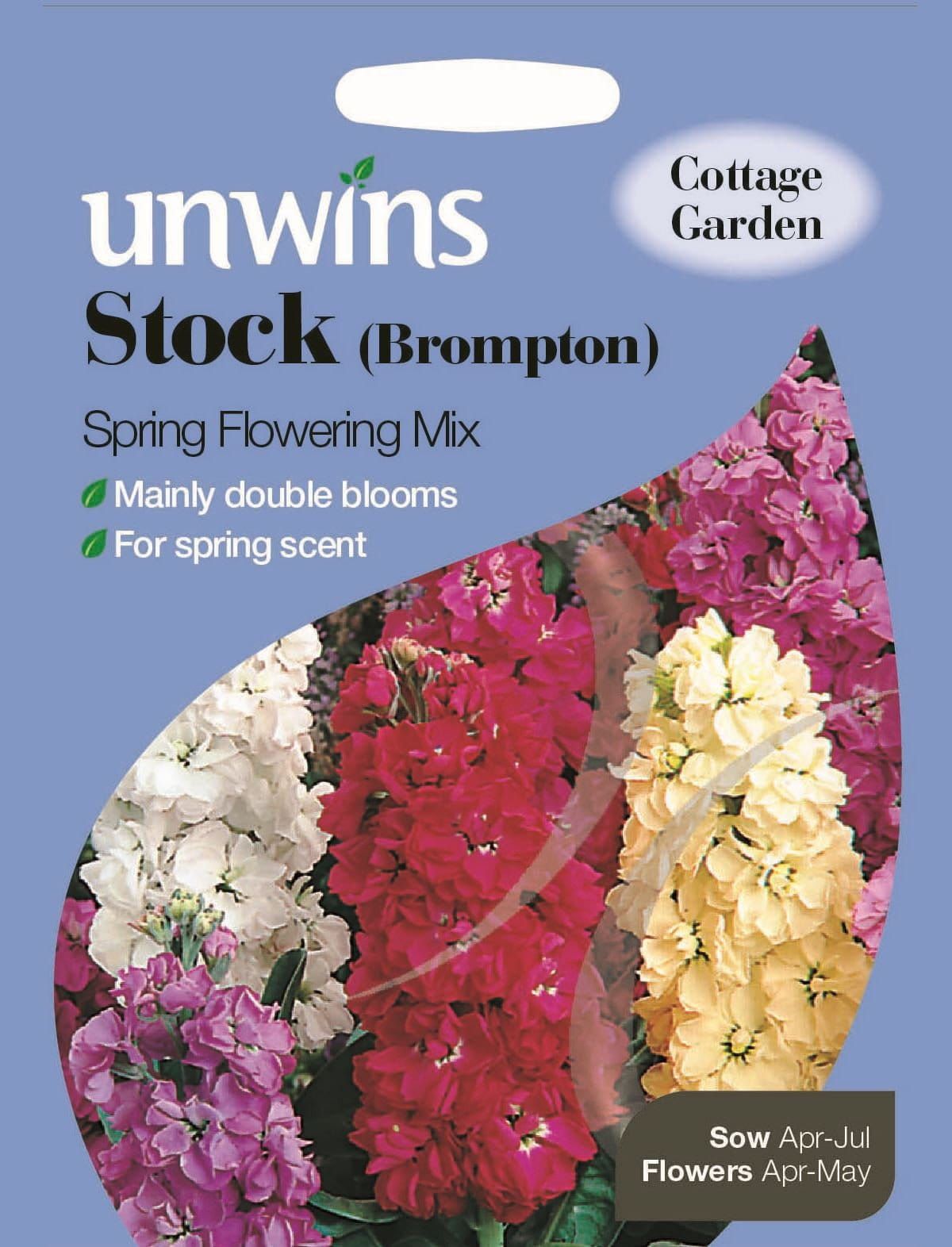 Unwins Stock (Brompton) Spring Flowering Mix 100 Seeds