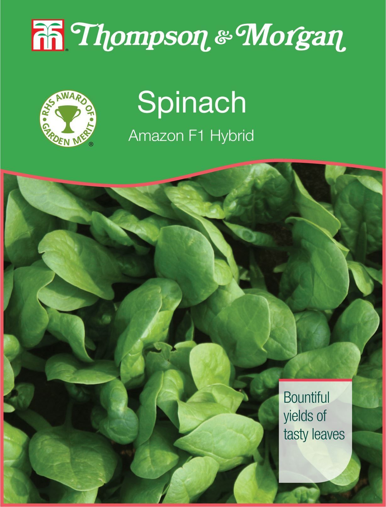 Thompson & Morgan RHS Spinach Amazon F1 400 Seed