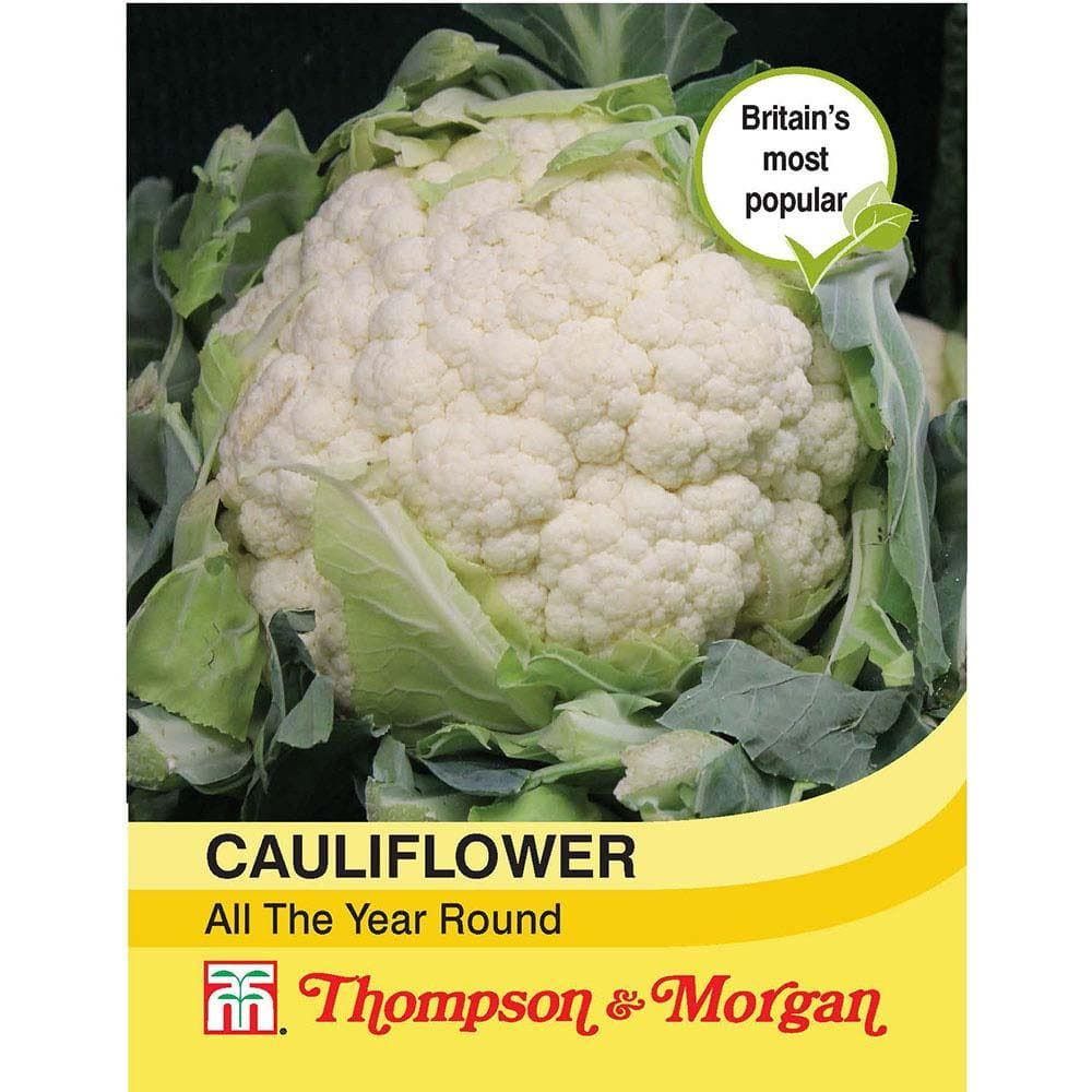 Thompson & Morgan Cauliflower All The Year Round 200 Seed