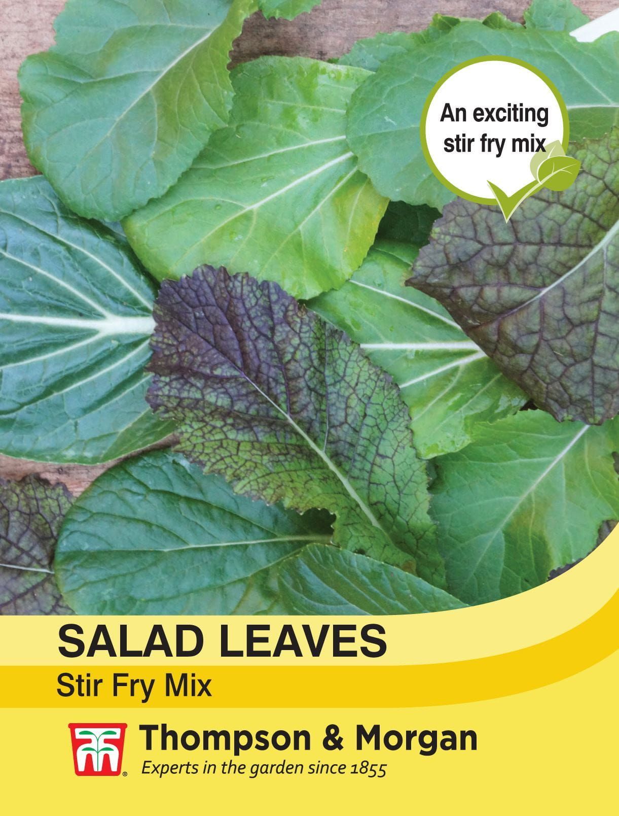 Thompson & Morgan - Vegetable - Salad Leaves - Stir Fry Mix - 500 Seeds