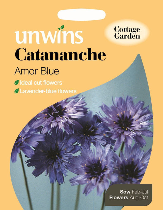 Unwins Catananche Amor Blue 30 Seeds